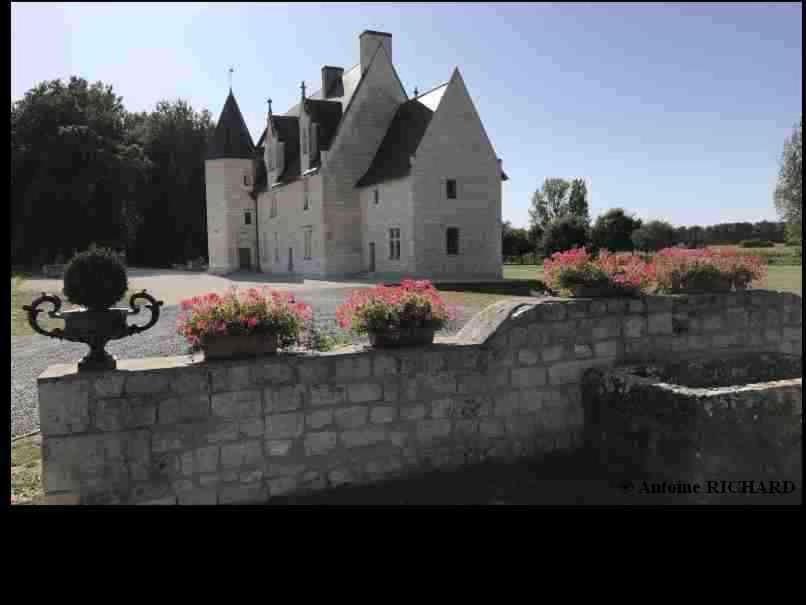 Chateau Manoir De Chandoiseau Les-Trois-Moutiers Exterior foto