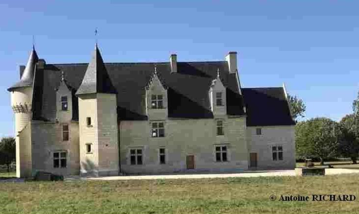 Chateau Manoir De Chandoiseau Les-Trois-Moutiers Exterior foto