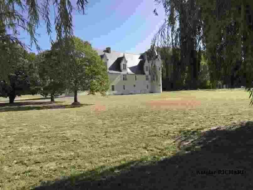 Chateau Manoir De Chandoiseau Les-Trois-Moutiers Exterior foto