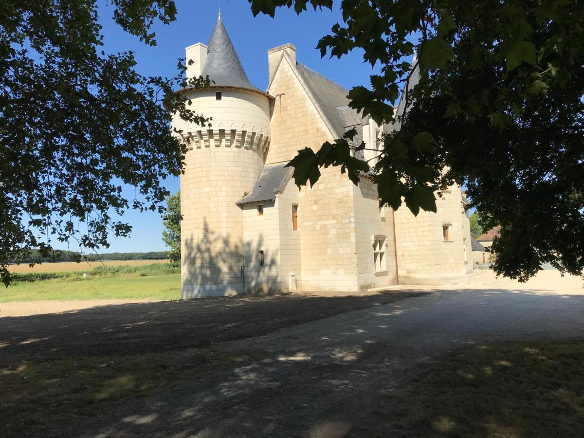 Chateau Manoir De Chandoiseau Les-Trois-Moutiers Exterior foto