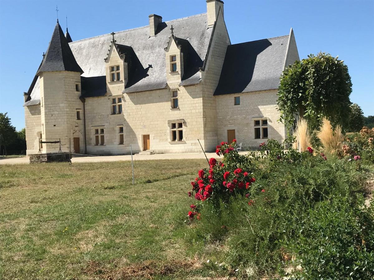 Chateau Manoir De Chandoiseau Les-Trois-Moutiers Exterior foto