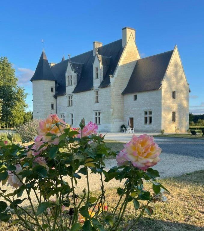 Chateau Manoir De Chandoiseau Les-Trois-Moutiers Exterior foto