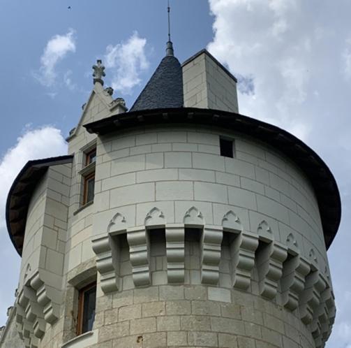 Chateau Manoir De Chandoiseau Les-Trois-Moutiers Exterior foto
