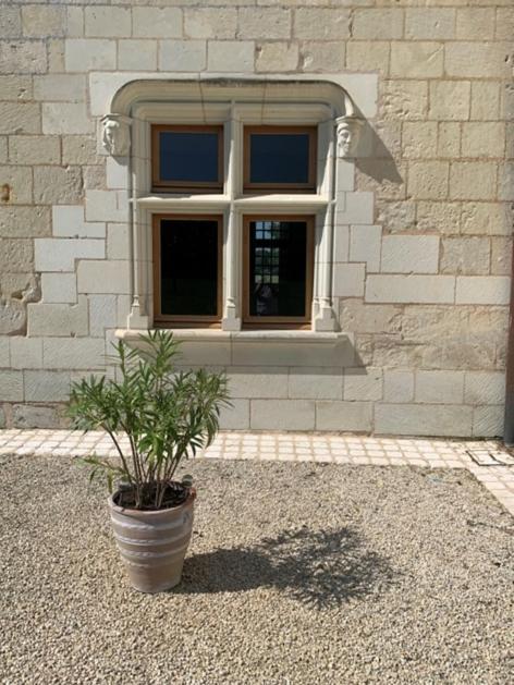 Chateau Manoir De Chandoiseau Les-Trois-Moutiers Exterior foto
