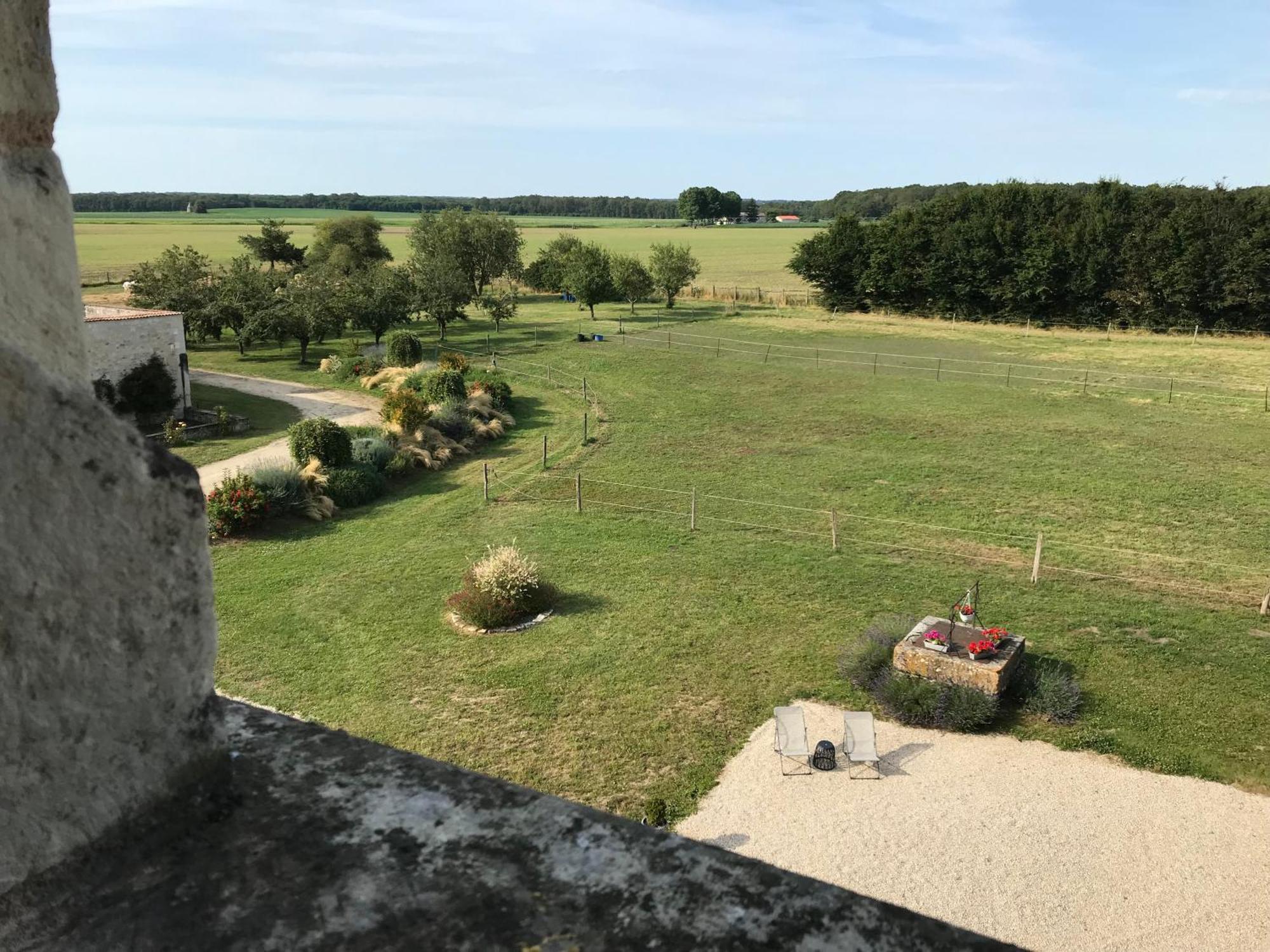 Chateau Manoir De Chandoiseau Les-Trois-Moutiers Exterior foto